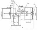 SMR100A225YGP Silnik orbitalny 100cc gopart