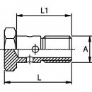 HBMF6100 Śruba przelewu M6X1