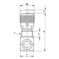 FPUN20001 Zawór zwrotny dławiący M12-0.5-3/4"